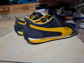 Puma whild wind
