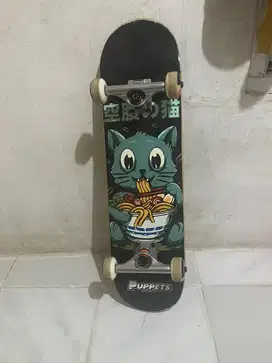 Skateboard puppets