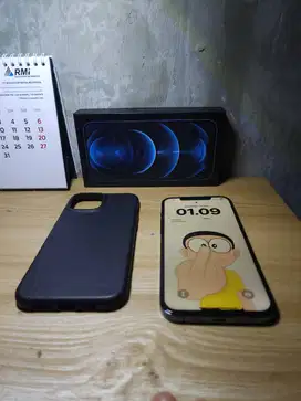 iPhone 12 Pro Max 256GB Pacific Blue