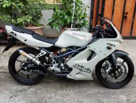 Ninja rr old 2010