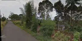 DIJUAL kebun Duren di Parung Kuda, Sukabumi, Dekat keluaran Tol