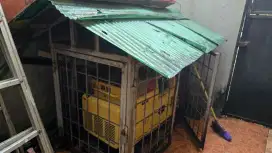 genset diesell second normal lama gak pakai