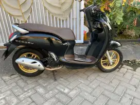 Scoopy Prestige Black 2021