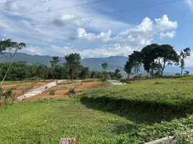 TANAH KAVLING THE HANJAWONG VILLAS MURAH STRATEGIS SHM JONA KUNING