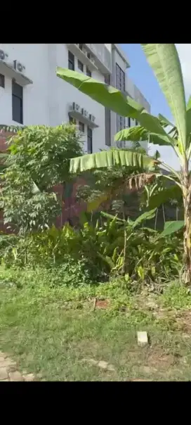 Murah dijual tanah cocok untik kos tembalang bulusan undip