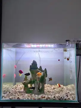 Aquarium Lengkap Gratis Ongkir Jaksel