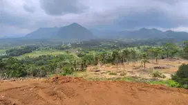 The hanjawong Villas kavling SHM begaya Eropa
