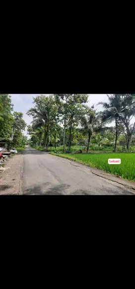 JUAL TANAH DI KEDUNGSARI PENGASIH KULONPROGO