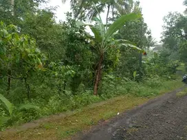 JUAL TANAH DI BANJARASRI KALIBAWANG KULONPROGO