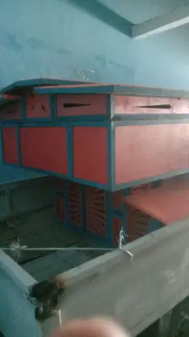 Kandang merpati putih wa