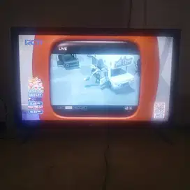 polytron digital 24 inch