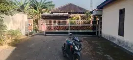 Rumah  di sewakan  luas 700 m