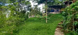 Dijual Cepat Tanah Kebun/Villa Asri Pasir Mulya Banjaran