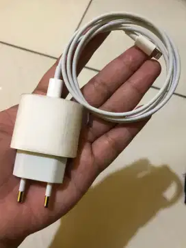 Charger iPhone 13 C to Lighting