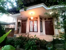 Disewakan Rumah Mewah