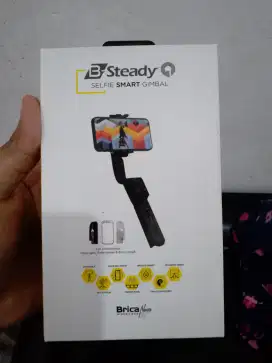 Brica B Steady Q
