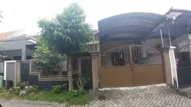 Disewakan rumah di Citraland mewah 2lt murah