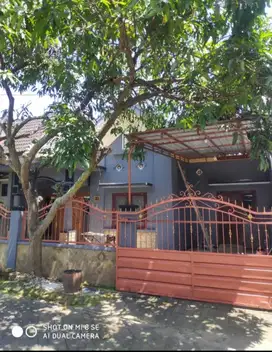 dijual murah rumah di kota malang area kampus