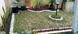 Spesialis pembuatan Taman dan kolam koi