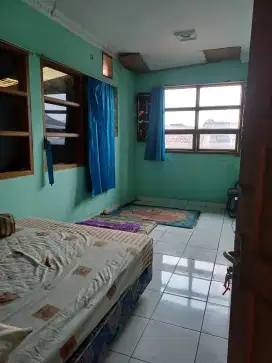 Kost putri pet frendly