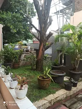 Dijual cepat rumah di komplek di pondok kopi Jakarta timur
