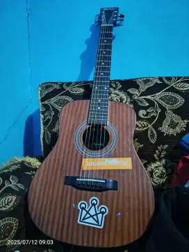 Jual gitar Martin & Co custom
