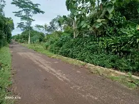 Dijual Tanah Pinggir jalan di Kalijati Subang dekat exit tol kalijati