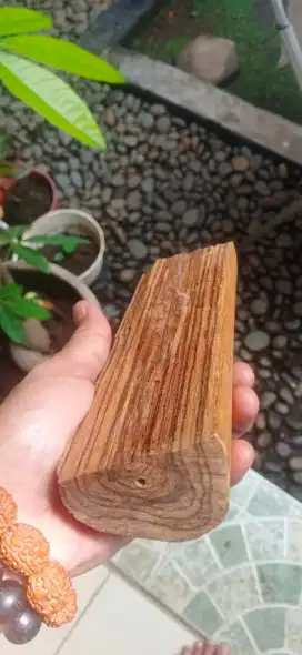 Gaharu Oud Agarwood Zebra