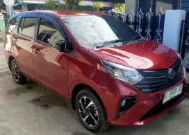 SIGRA R 1.2 MANUAL 2024