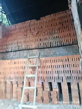 Freongkir bata pres mrH& bata tempel expose
