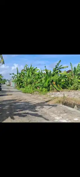 Dijual tanah 3,16 jln tukad petanu panjer dekat renon