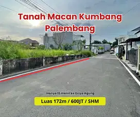 Tanah Tengah Kota Macan Kumbang Palembang