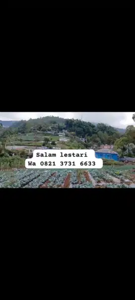 Tanah view pegunungan lawu