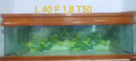 Di jual aquarium arwana tanpa lemari