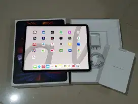 iPad pro gen 5 m1 12,9inch 256gb inter wifi cellular second