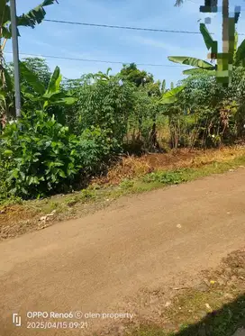 Dijual tanah pekaja kalibagor purwokerto