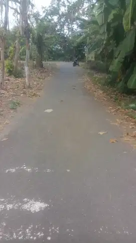 dijual tanah murah Godean gancahan