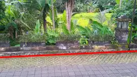 Land in Kedewatan Ubud Gianyar, close to Campuhan Ridge Walk and Monke