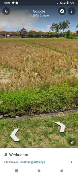 for rent land in Munggu yellow zone