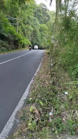 121827L Dijual cepat murah tanah di Jalan raya utama Keliki Ubud Bali
