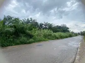 Dijual tanah strategis (jalinsum) dekat pekan. Dibuat pertamina, maret