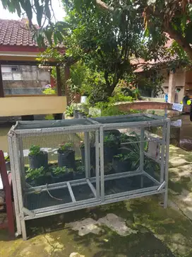 Kandang Umbaran Burung Muray