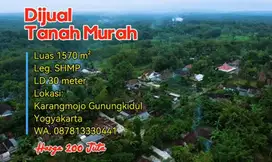 Di Jual Murah Kebun Jati & Status SHMp Luas 1570m² Harga 200 Juta