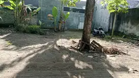Dijual Tanah Pekarangan Tegaltirto Berbah Sleman