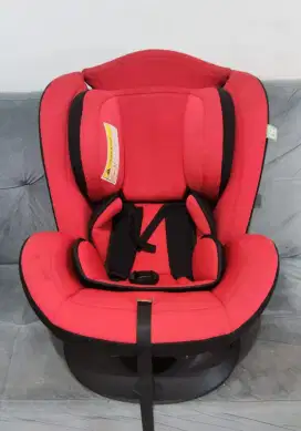 Carseat babydoes