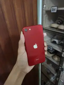 iphone SE GEN 3 2022 128gb Second ibox