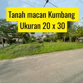 Tanah Strategis di Macan Kumbang – Siap Bangun & Harga Nego!