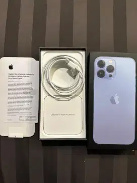 iPhone 13 pro max 256