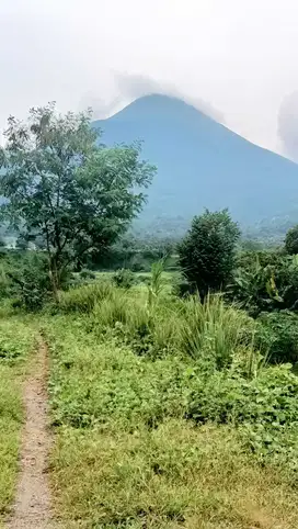Lahan Strategis Sirtu Pandaan, cocok untuk wisata, pemakaman mewah dll