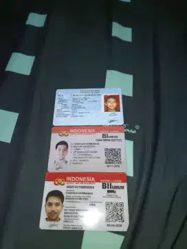 Pengalaman driver 6thn Dum truk dan cddl box 2 thn